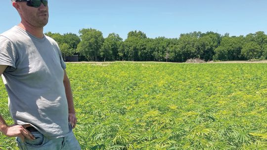 A DIFFERENT KIND OF GROWTH