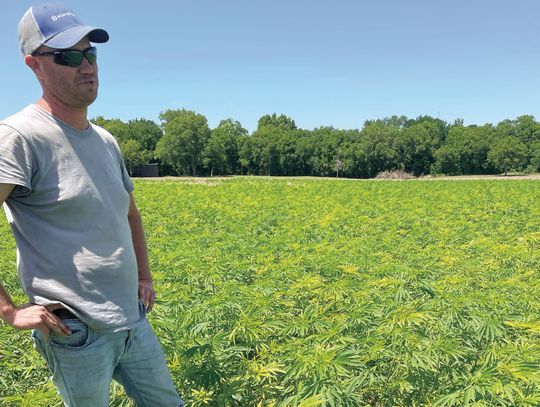 A DIFFERENT KIND OF GROWTH