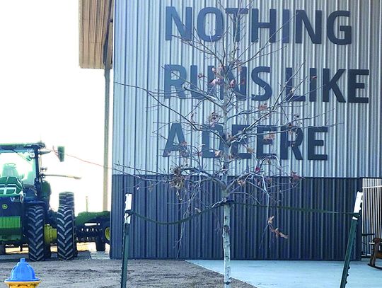 AI, SOFTWARE AND TRACTORS